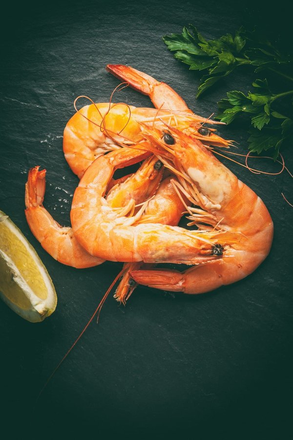 In che modo la sostituzione del filtro dell'olio può impattare sulla longevità del motore di un'auto?