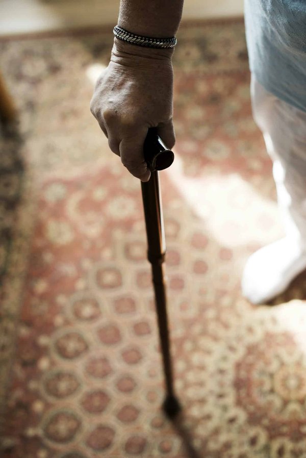 Come posso gestire un cane di razza Papillon con un'alta sensibilità ai rumori forti?